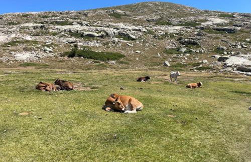 Appartement meublé Porto vecchio - Foto 13