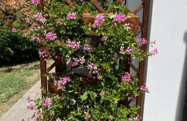 Casa vacanze villa Lido- Pangrazi Alessandra - Foto 19