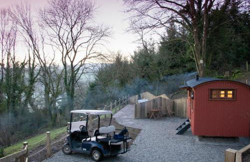 Little Silver Owl - Foto 21