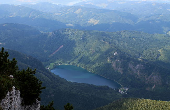 Haus Traunsee - Foto 18
