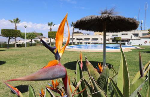 001 - Altomar II 001 - comfortHOLIDAYS - Photo 19