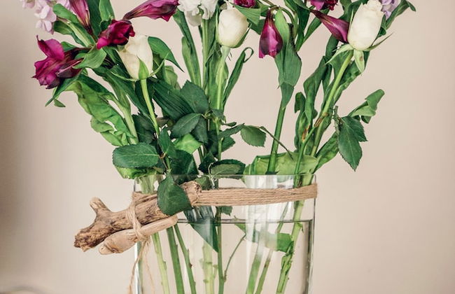 Padstow Breaks - Duke House - Photo 40