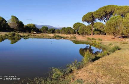 Alojamiento Castelar - Photo 14