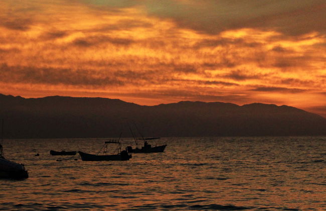 Dîner-croisière avec spectacle - Photo 1
