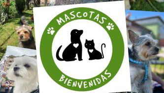 Compuerta Otañes - Foto 2