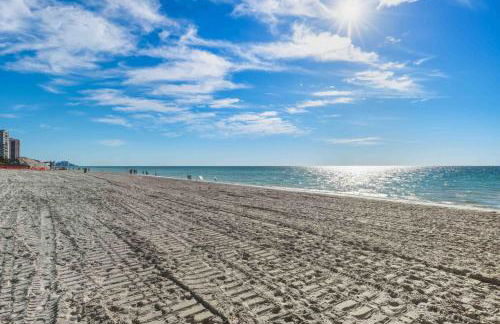 The Sunshine Social - Photo 30