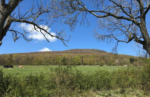 Rhön - Nestchen - Foto 22