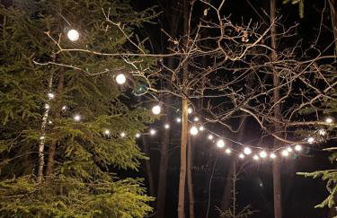 Odpoczynek Domki Pod Dębem z Opcją Jacuzzi - Foto 73