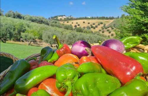 Fienilemare casa vacanze - Photo 9