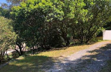 Villa CapFerret sous les pins,bassin et océan à pied - Foto 17