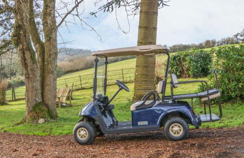 Little Silver Owl - Foto 22