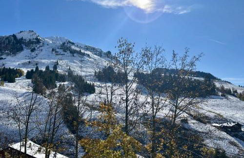 Bright apartment for 6 in Le Grand-Bornand - Foto 17