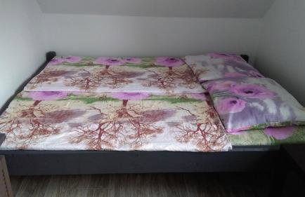 Agroturystyka,, Ranczo Kruszynki" - Foto 62