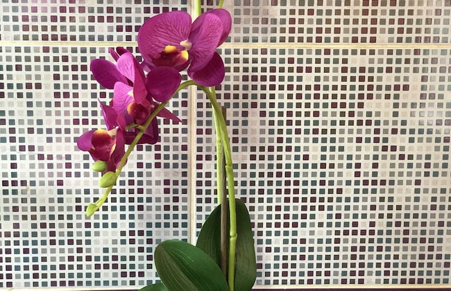 Casa da fonte - Foto 76