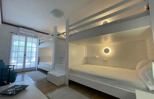 Sarwnisland - Photo 15