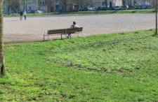 gîte 65 m2 200 m gare t-g-v et fac 400 m centre-ville grand parking 250 places gratuit face au logement - Foto 3