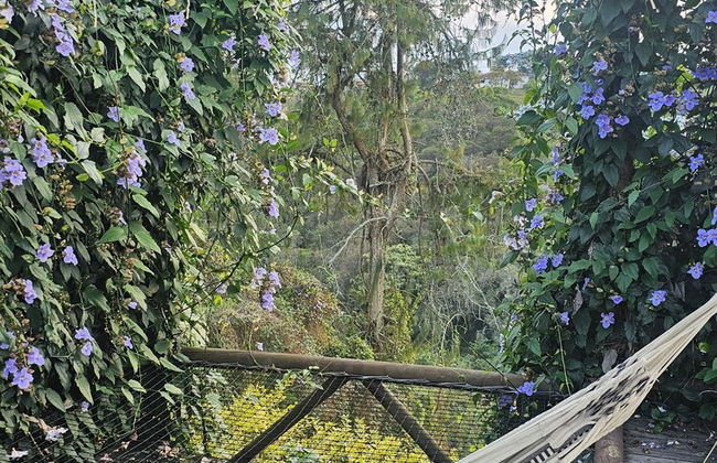 finca hotel zona 7 - Photo 41