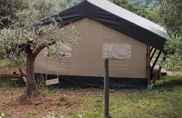 Sorelle Biologiche - Photo 6