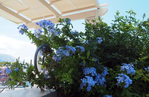 AssosView - Photo 10