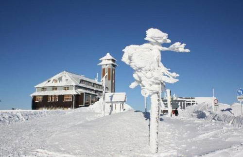 Kleine Fewo Ebert&Green - Foto 9