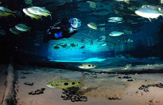 Excursión al Aquário Encantado de Nobres - Foto 3