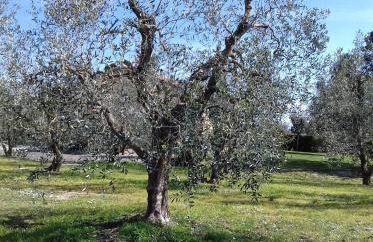 Agriturismo Le Chiare Stelle - Foto 45