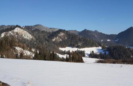 Pokoje u Pitera - Foto 7