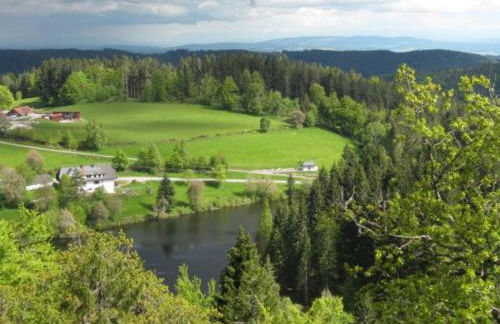 Apartment Appartement in Wittenschwand by Interhome - Foto 24