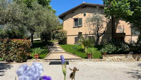 Agriturismo Collerisana - Foto 5, Garden, Garden view