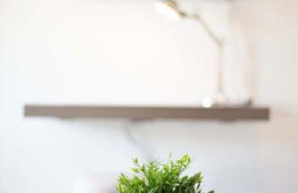 Schiller-Quartier 6 - Photo 51