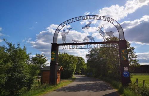 Schmahl Comfortable holiday residence - Foto 25