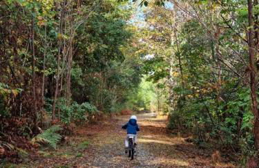 Maison récent proche du lac de Léon et de l'Océan - Foto 18