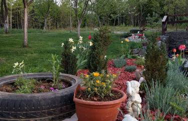 Kuća za odmor Marija - Foto 2