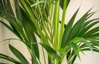 2 Bed in Bwlchtocyn oc-brynxx - Foto 26