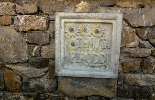 Tenuta Piroddi - Photo 12