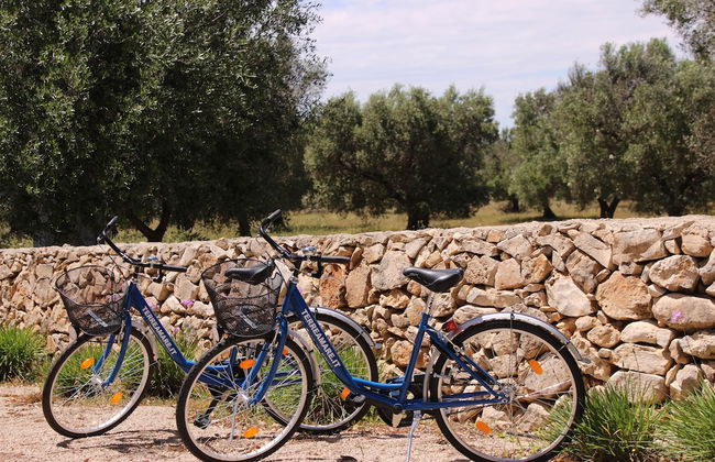 TerreAmare Agriturismo - Photo 27