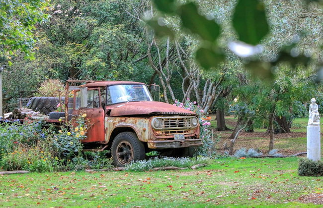 Boat Harbour Garden Cottages - Foto 51