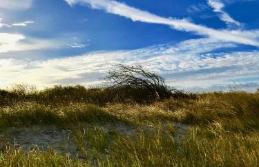 Ferienwohnung-Strandspaziergang, kleine Wohnung - Foto 19