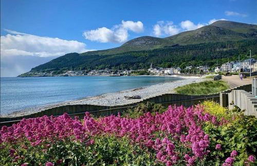 Pebble Creek Apartment - Foto 26