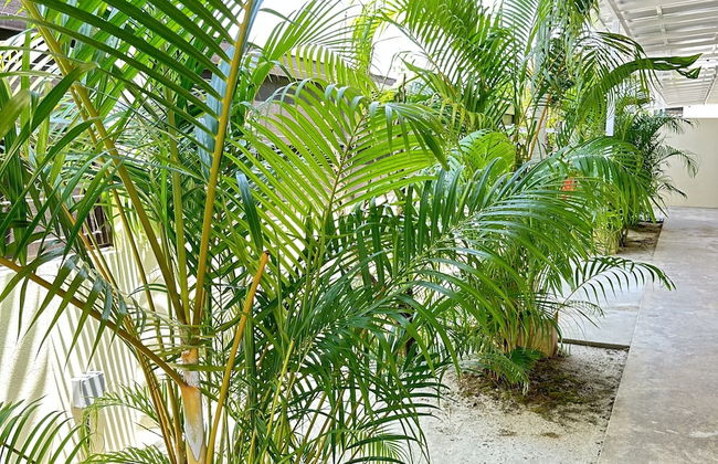 Adina Pool Villa Cenang Langkawi 3B4R - Foto 22