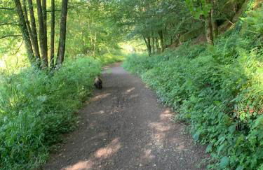 Brittany Countryside Retreat 3 Bedrooms Sleeps 6 Pet Friendly Heated Swimming Pool Free Wifi - Foto 43