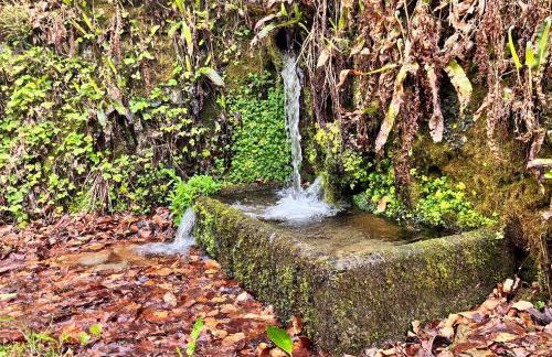 The Tower at Birch Cleave Barns - Foto 23
