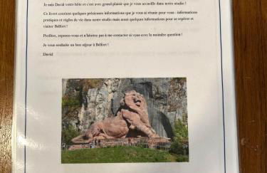 Le Calme en plein centre ville de BELFORT - Foto 2