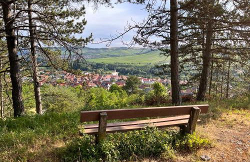 Ferienhaus Weinbergblick - nahe Würzburg - 2 Schlafzimmer - Familienfreundlich - Terrasse - Foto 58
