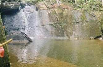 Vale das Quaresmeiras - Foto 59