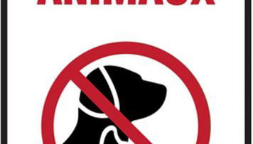 appartement centre ville du Boulou pour 2 adultes-2 enfants- check in 18h 20h check out 11h max juillet-aout 1 semaine minimum - Foto 2