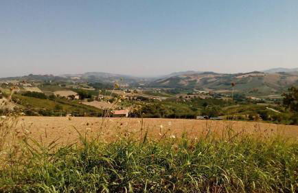 Country House Villa Geminiani - Foto 17