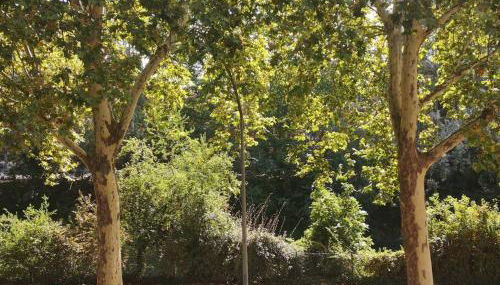 L'Élégance du Midi - climatisation réversible - Foto 5