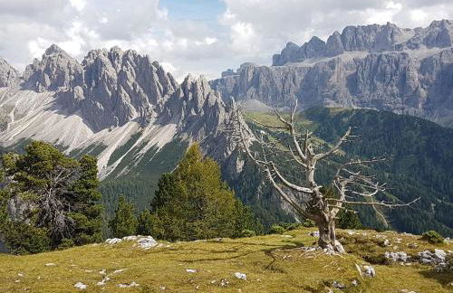 Villa Otto - Foto 10