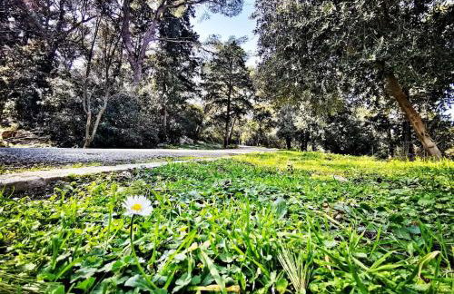 Luxury apartment Marjan - Black - Photo 25